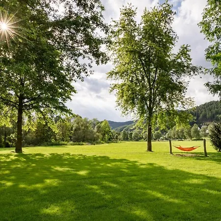 Kurparkblicksauerland Apartment *