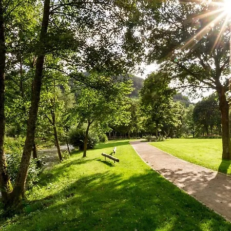 Daire Kurparkblicksauerland Lennestadt