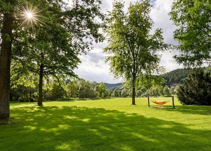 Kurparkblicksauerland 公寓 *